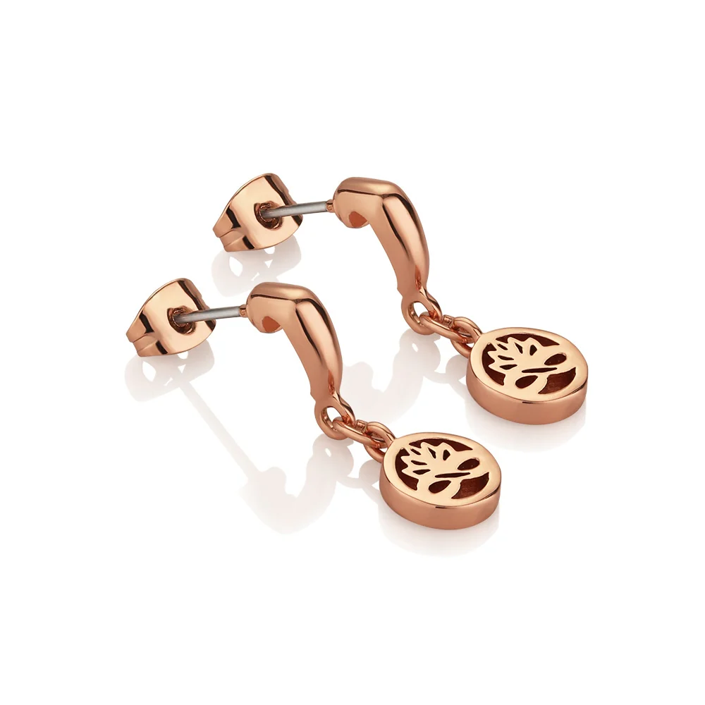 Rose Gold Plated Stud Earrings - Image 3